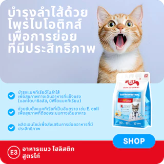 Mr.Vet E3 นาโนโพรเทน™ อาหารแมวแบบแห้ง 2กก. – Easy Digestiveon, ดูดซึมเร็ว, อุดมด้วยโปรไบโอติกสําหรับระบบ Gut & Digestive Healthy