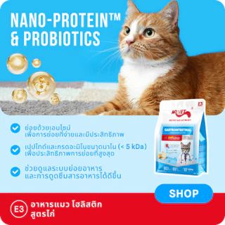 Mr.Vet E3 นาโนโพรเทน™ อาหารแมวแบบแห้ง 2กก. – Easy Digestiveon, ดูดซึมเร็ว, อุดมด้วยโปรไบโอติกสําหรับระบบ Gut & Digestive Healthy