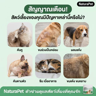 NaturaPet แมว สุนัข ยาไล่แมลงด้านนอกด้านในโดยเฉพาะสามารถไล่เห็บ หมัด เหา พยาธิทุกชนิด สินค้าของแท้ปลอดภัย ให้อาหารง่าย