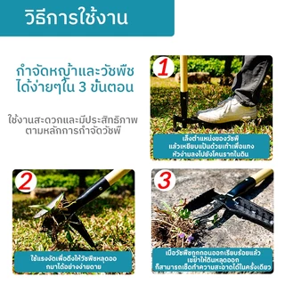 เครื่องกําจัดวัชพืชด้ามยาวสแตนเลส: เครื่องมือยืนขึ้นสําหรับการถอนรากและการสกัดต้นกล้าจากสนามหญ้า
