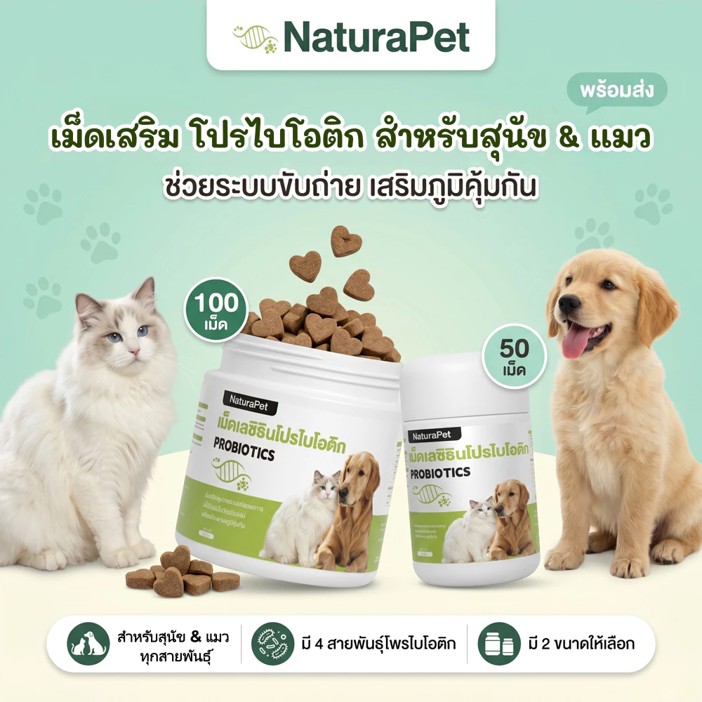 ขนมวิตามินและโพรไบโอติกสำหรับแมวและสุนัข NaturaPet ช่วยดูแลลำไส้และการย่อยอาหาร เสริมภูมิคุ้มกัน กินง่าย มีให้เลือก 50 100 เม็ด