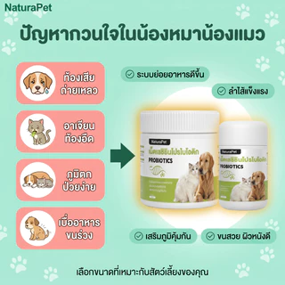 ขนมวิตามินและโพรไบโอติกสำหรับแมวและสุนัข NaturaPet ช่วยดูแลลำไส้และการย่อยอาหาร เสริมภูมิคุ้มกัน กินง่าย มีให้เลือก 50 100 เม็ด
