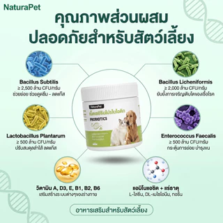 ขนมวิตามินและโพรไบโอติกสำหรับแมวและสุนัข NaturaPet ช่วยดูแลลำไส้และการย่อยอาหาร เสริมภูมิคุ้มกัน กินง่าย มีให้เลือก 50 100 เม็ด