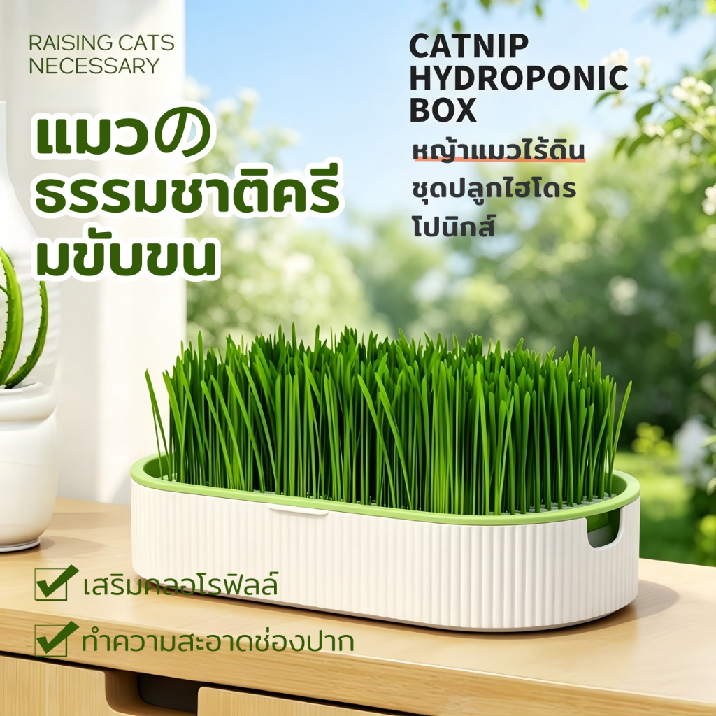 Horbong Pets (แถมเมล็ด5ซอง)หญ้าแมว ออร์แกนิค ชุดปลูกต้นอ่อนข้าวสาลี เมล็ดข้าวสาลี ข้าวสาลีแมว​ ชุดปลูกต้นอ่อนข้าวสาลี