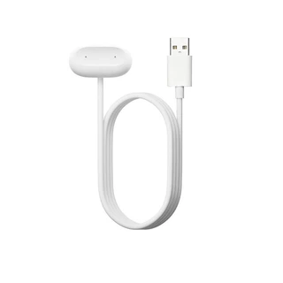 สําหรับ Google Fitbit Air Charger สายรัดข้อมือแม่เหล็กสามารถรองรับสายชาร์จ USB Type-C สําหรับ Google Fitbit Air CHARGING