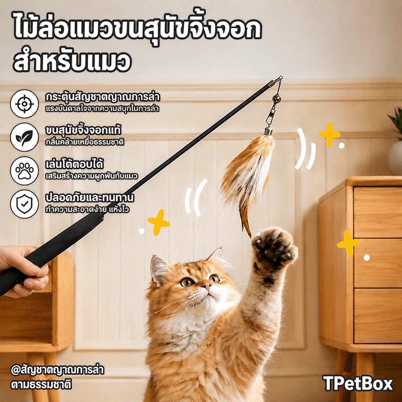 พร้อมส่ง! ไม้ฟาดแมวขนฟ็อกซ์ธรรมชาติ ขนนกแท้ ด้ามยืดหดได้ยาวพิเศษ หัวเปลี่ยนได้ คุณภาพระดับมืออาชีพ กระตุ้นสัญชาตญาณนักล่า แมวเล่นเองได้