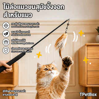พร้อมส่ง! ไม้ฟาดแมวขนฟ็อกซ์ธรรมชาติ ขนนกแท้ ด้ามยืดหดได้ยาวพิเศษ หัวเปลี่ยนได้ คุณภาพระดับมืออาชีพ กระตุ้นสัญชาตญาณนักล่า แมวเล่นเองได้