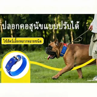 ปลอกคอสุนัขไนล่อน ไซส์ ส-XXL เสริมฟองน้ํานุ่มด้านในกันคอตามใจ มีให้เลือกหลากสีปรับขนาดได้