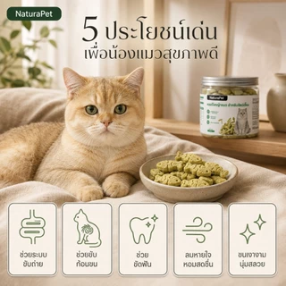 NaturaPet ขนมหญ้าแมวบิสกิต ต้นอ่อนข้าวสาลีอบอุณหภูมิต่ำ มีเนื้อ+หญ้า ช่วยขับขนในลำไส้ 100 กรัม/กระปุก