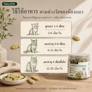NaturaPet ขนมหญ้าแมวบิสกิต ต้นอ่อนข้าวสาลีอบอุณหภูมิต่ำ มีเนื้อ+หญ้า ช่วยขับขนในลำไส้ 100 กรัม/กระปุก