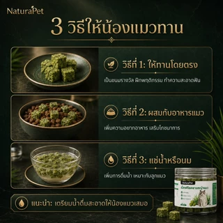 NaturaPet ขนมหญ้าแมวฟรีซดราย อกไก่ผสมต้นอ่อนข้าวสาลี ช่วยขับขนในลำคอ-ลำไส้ 50 กรัม/กระปุก เปิดฝากินเลย