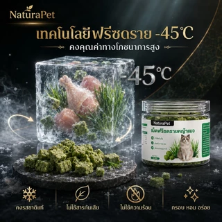 NaturaPet ขนมหญ้าแมวฟรีซดราย อกไก่ผสมต้นอ่อนข้าวสาลี ช่วยขับขนในลำคอ-ลำไส้ 50 กรัม/กระปุก เปิดฝากินเลย