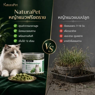NaturaPet ขนมหญ้าแมวฟรีซดราย อกไก่ผสมต้นอ่อนข้าวสาลี ช่วยขับขนในลำคอ-ลำไส้ 50 กรัม/กระปุก เปิดฝากินเลย
