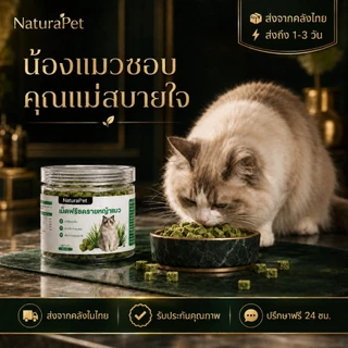 NaturaPet ขนมหญ้าแมวฟรีซดราย อกไก่ผสมต้นอ่อนข้าวสาลี ช่วยขับขนในลำคอ-ลำไส้ 50 กรัม/กระปุก เปิดฝากินเลย