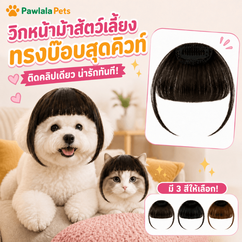 วิกหน้าม้าสัตว์เลี้ยง วิกผมทรงบ๊อบ สำหรับแมวสุนัข ระบายอากาศ ใส่สบาย พร็อพถ่ายรูป คอสเพลย์ ปาร์ตี้ น่ารัก