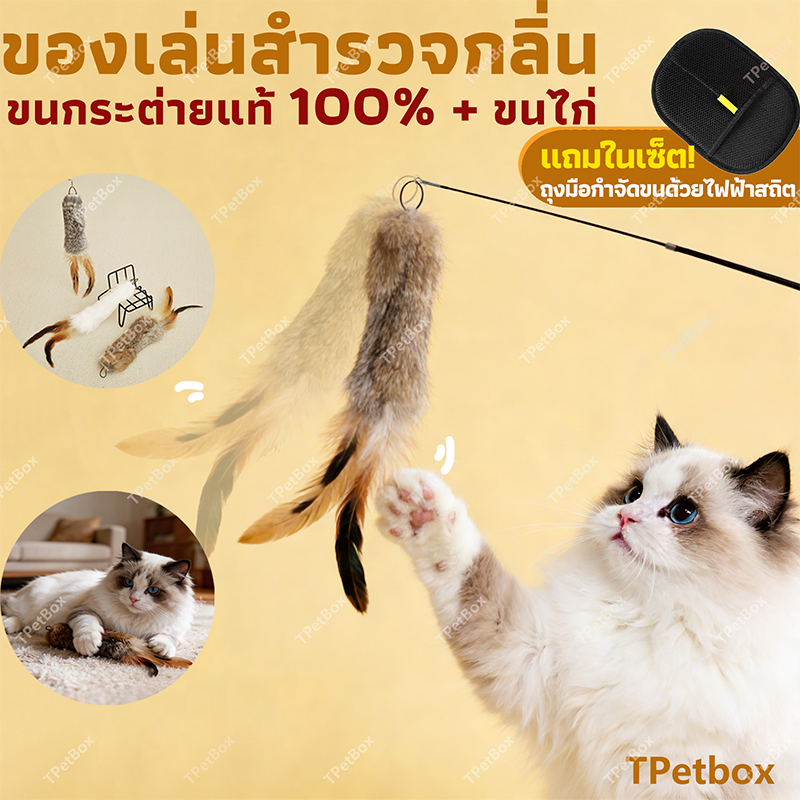 พร้อมส่ง! ไม้ตกแมวขนกระต่ายแท้และขนนก มีหางขนนุ่ม แขวนผนังได้ ของเล่นแมวแก้เบื่อ แมวเล่นเองได้ กระตุ้นสัญชาตญาณการล่า ทนทาน ปลอดภัย ของเล่นเสริมพัฒนาการ