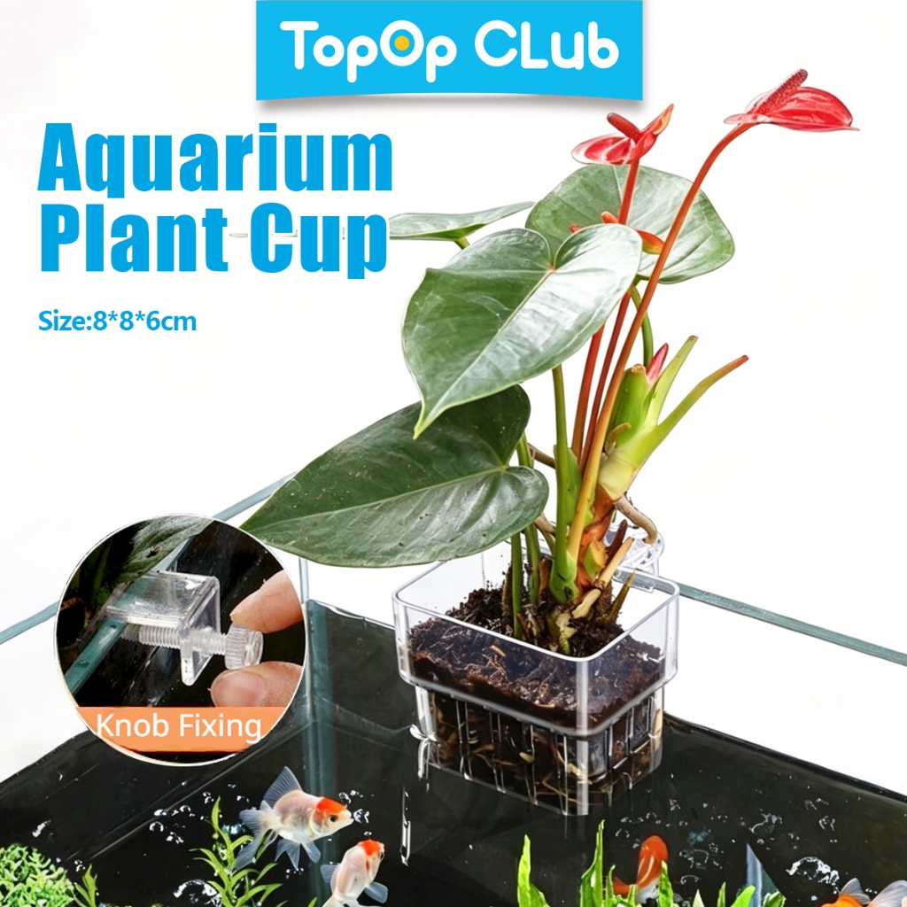 TOPOP CLUB Aquarium Plant Pots Water Plant โปร่งแสงถังปลาพืชถ้วย Hangable Aquatic Plant Holder