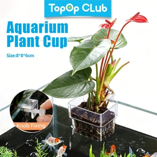 TOPOP CLUB Aquarium Plant Pots Water Plant โปร่งแสงถังปลาพืชถ้วย Hangable Aquatic Plant Holder