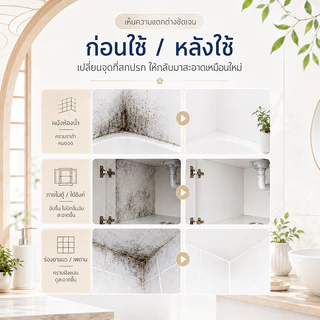 👍ไม่กัดกร่อน ไม่ทำลายวัสดุ👍 สเปรย์กำจัดเชื้อรา น้ำยากำจัดเชื้อรา น้ำยาฆ่าเชื้อรา 500ml แบรนด์ญี่ปุ่น ของแท้