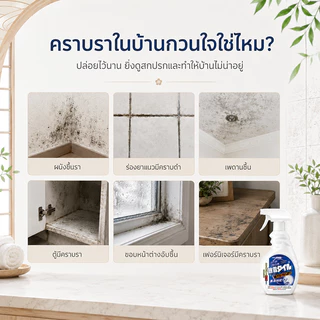 👍ไม่กัดกร่อน ไม่ทำลายวัสดุ👍 สเปรย์กำจัดเชื้อรา น้ำยากำจัดเชื้อรา น้ำยาฆ่าเชื้อรา 500ml แบรนด์ญี่ปุ่น ของแท้