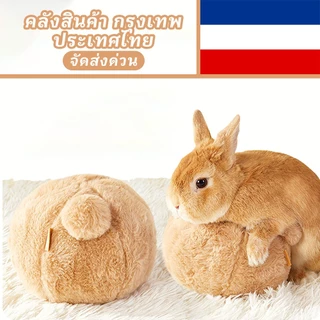 15ซม ของเล่นกระต่าย, ลูกบอลบรรเทาความเครียด สำหรับกระต่ายคนแคระและกระต่ายผสม, การออกแบบกรงเล็บบด Yee