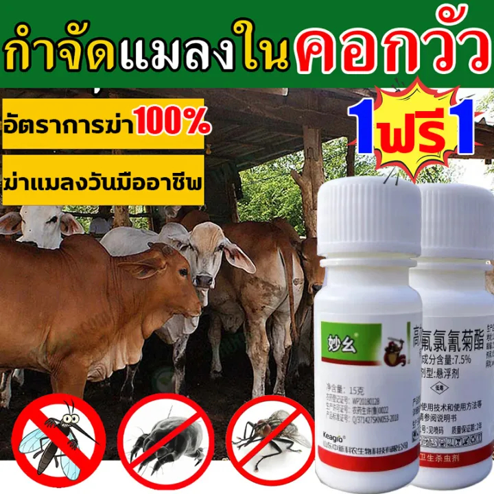 โรงเลี้ยงสัตว์ไม่มียุงและแมลงวันอีกต่อไป ยาไล่ยุงคอกวัว ซื้อ1แถม1 กำจัดแมลงวัน ยุง เห็บ มด เหา หมัด แมลง อัตราการฆ่า100% ยาไล่ในวัว