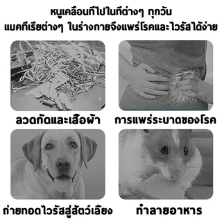 ไม่มีหนูใน 1000 เมตร ไล่หนู ลูกเหม็นไล่หนู ยาไล่หนู ไล่หนูถาวร แพ็คละ 5ชิ้น ที่ไล่หนู รวดเร็วและมีประสิทธิภาพ ไล่หนูอย่างต่อเนื่อง สามารถวางในห้องนอน ลิ้นชัก ห้องครัว ระเบียง สำนักงาน ฯลฯ สมุนไพรไล่หนู ไล่หนูในรถยนต์ ยาไล่หนูในบ้าน