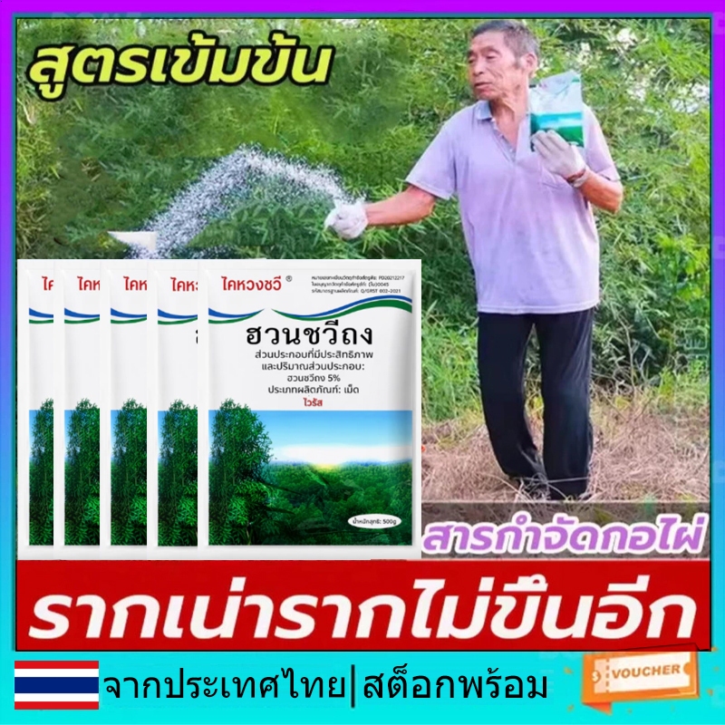 รากเน่า, ไม่มีตัวแทนนักฆ่าต้นไม้ตลอดไป, ผงกําจัดรากไม้ไผ่, เครื่องกําจัดตอ สารกําจัดวัชพืช