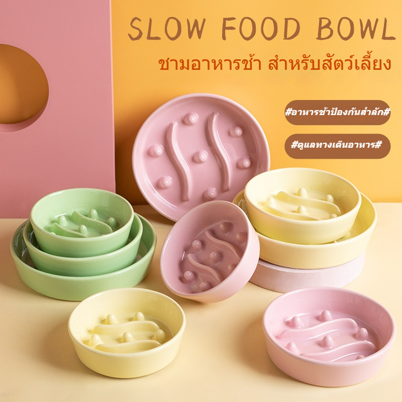 【พร้อมส่งบางส่วนในไทย 🔥 ชามเซรามิกอาหารช้าสำหรับสัตว์เลี้ยง】 ชามแมว ชามหมา ป้องกันการสำลักและการหก | เซรามิกอุณหภูมิสูง กันแบคทีเรีย ป้องกันสิวคาง | 3 ขนาด 3 สี