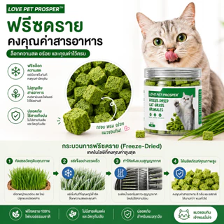 Love Pet Prosper หญ้าแมวฟรีซดราย ขนมแมว ช่วยขับก้อนขน เสริมไฟเบอร์ธรรมชาติ สำหรับแมวทุกวัย อร่อย กินง่าย 50g