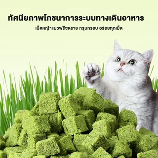Love Pet Prosper หญ้าแมวฟรีซดราย ขนมแมว ช่วยขับก้อนขน เสริมไฟเบอร์ธรรมชาติ สำหรับแมวทุกวัย อร่อย กินง่าย 50g