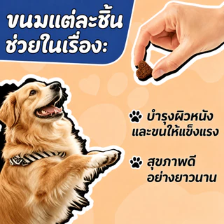 Love Pet Prosper น้ำมันปลาโอเมก้า 3 สำหรับสุนัขและแมว ขนมเคี้ยวบำรุงผิวและขน Omega 3 Fish Oil ดูแลขนเงางาม เคี้ยวง่าย 100 เม็ด