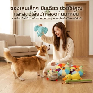 【Horbong Pets】21 รายการสุนัขของเล่น บีบมีเสียง ตุ๊กตาหมา เหมาะสำหรับสุนัขสายพันธุ์เล็ก ทนทานต่อการกัด ของเล่นแบบโต้ตอบ Dogtoy