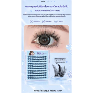 ขนตาปลอม 10 แถว ไม่ต้องใช้กาว ติดแน่น ถอดง่าย ดีไซน์แบบแบ่งส่วนดูเป็นธรรมชาติและมีชีวิตชีวา แต่ละเส้นแยกเป็นกระจุก เพื่อขนตาที่สวยงามในภาพถ่าย