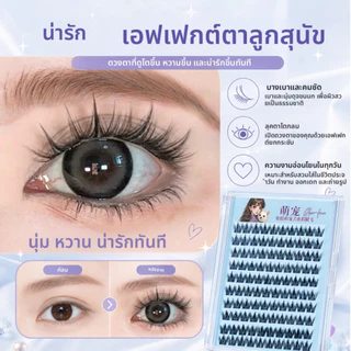 ขนตาปลอม 10 แถว ไม่ต้องใช้กาว ติดแน่น ถอดง่าย ดีไซน์แบบแบ่งส่วนดูเป็นธรรมชาติและมีชีวิตชีวา แต่ละเส้นแยกเป็นกระจุก เพื่อขนตาที่สวยงามในภาพถ่าย