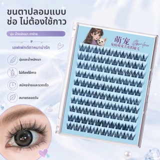ขนตาปลอม 10 แถว ไม่ต้องใช้กาว ติดแน่น ถอดง่าย ดีไซน์แบบแบ่งส่วนดูเป็นธรรมชาติและมีชีวิตชีวา แต่ละเส้นแยกเป็นกระจุก เพื่อขนตาที่สวยงามในภาพถ่าย
