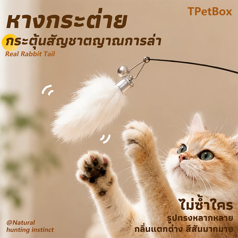 พร้อมส่ง! หัวไม้ตกแมวหางกระต่ายแท้พร้อมกระดูก กระตุ้นการดมกลิ่น เสริมพัฒนาการ แก้เบื่อ แมวเล่นเองได้ ทนทาน ปลอดภัย ใช้แทนหัวเดิมได้