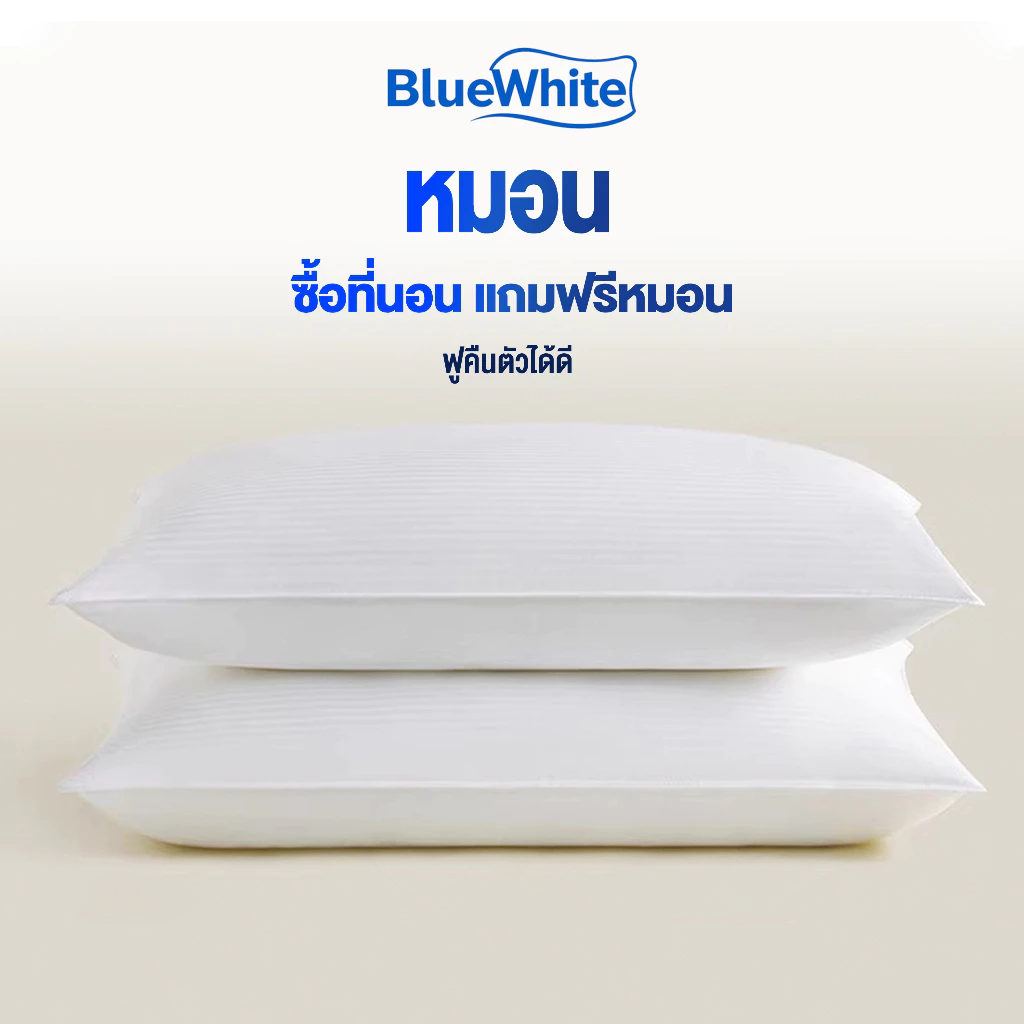 BlueWhite หมอน หลับสบาย แก้ปวดคอ หมอนรองนอนกันไรฝุ่นหนา