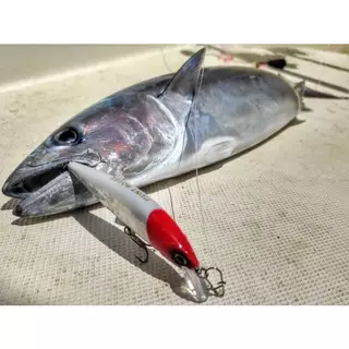 Hunthouse G-contorl Minnow Sinking Fishing Lure น้ําเค็มขนาดเล็กเหยื่อ 95/120 มม.28/41g ประดิษฐ์ Mini Swimbait Leurre Pescar