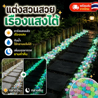 [WEIYI] หินเรืองแสงในที่มืด ก้อนกรวดตกแต่งสวน ตู้ปลา ทางเดิน กระถางต้นไม้ DIY พร้อมส่งจากไทย
