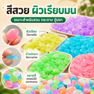 [WEIYI] หินเรืองแสงในที่มืด ก้อนกรวดตกแต่งสวน ตู้ปลา ทางเดิน กระถางต้นไม้ DIY พร้อมส่งจากไทย
