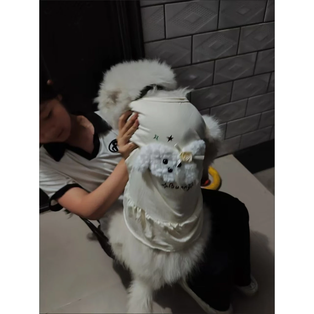 [คลังสินค้าพร้อม ข้อเสนอพิเศษ] เสื้อผ้าสุนัขสุนัขขนาดใหญ่ลูกสุนัขสามมิติลูกไม้เสื้อกั๊กบาง thumbnail 9