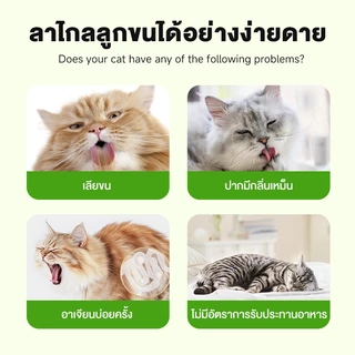Love Pet Prosper หญ้าแมวฟรีซดราย ขนมแมว ช่วยขับก้อนขน เสริมไฟเบอร์ธรรมชาติ สำหรับแมวทุกวัย อร่อย กินง่าย 50g