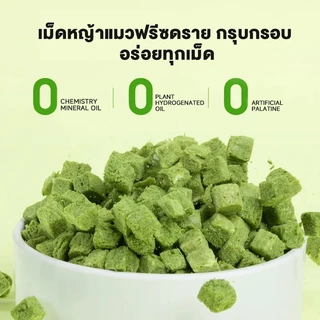 Love Pet Prosper หญ้าแมวฟรีซดราย ขนมแมว ช่วยขับก้อนขน เสริมไฟเบอร์ธรรมชาติ สำหรับแมวทุกวัย อร่อย กินง่าย 50g