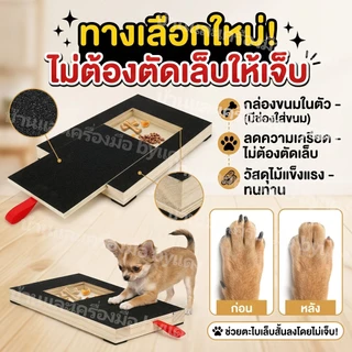 กระดานลับเล็บสําหรับสุนัขพร้อมกล่องรักษา 35 x 25 x 3 ซม. กระดานลับเล็บสุนัขสําหรับเล็บกระดานลับปลอดความเครียดสําหรับกรงสุนัขกระดาษทรายเกา