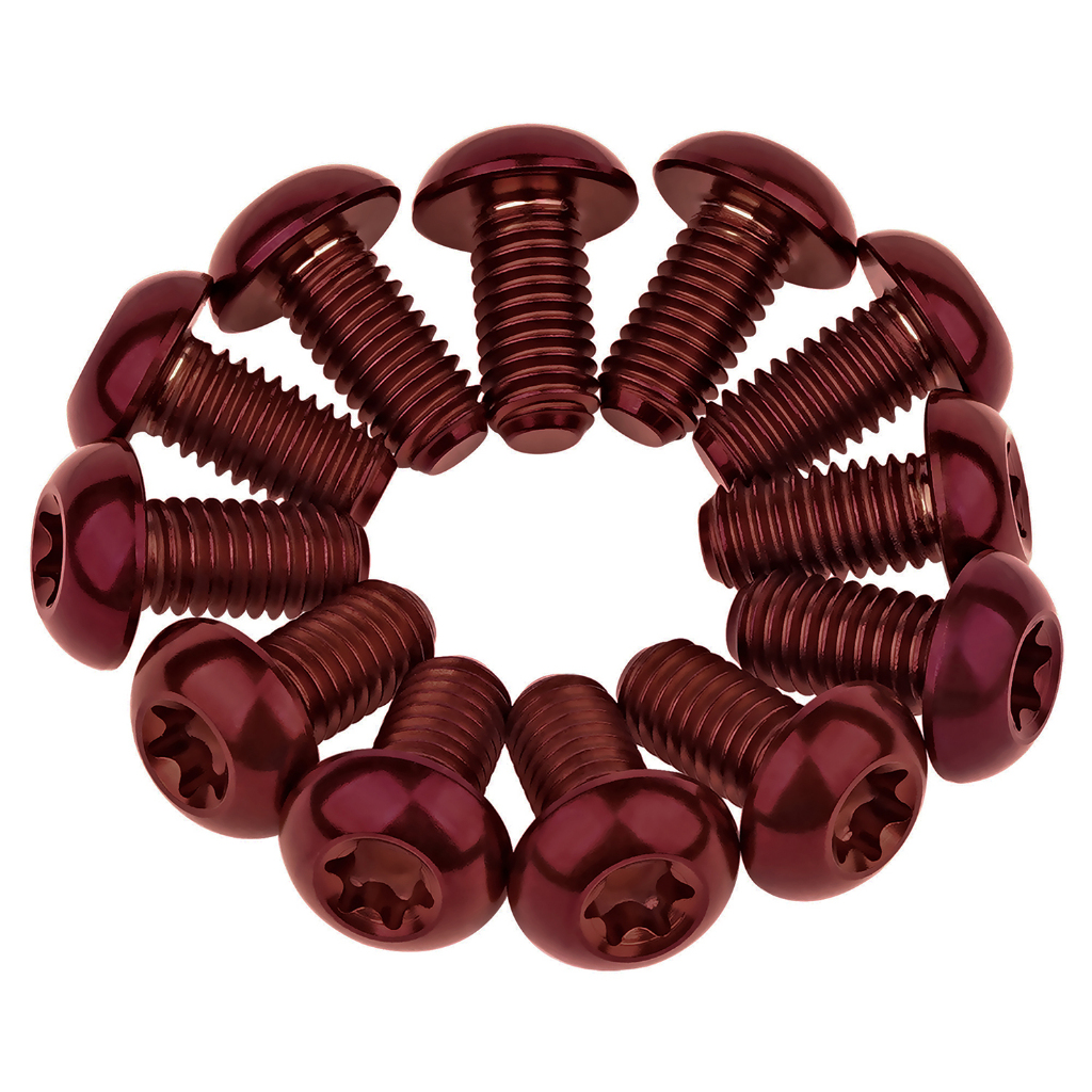 Wanyifa 12 ชิ้นไทเทเนียม Ti Bolt M5x10 12 มม. ที่ใส่ขวด T25 Torx หัวสกรูสำหรับอุปกรณ์ขี่จักรยาน — صورة 6