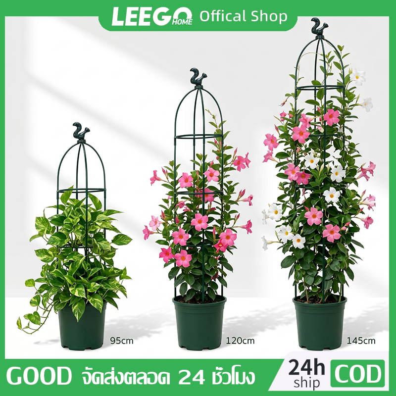 LEEGO Rose Arch หวาย Rose Stand ขาตั้งหวายขาตั้งกุหลาบหวายขนาด: 95 ซม., 120 ซม., 145 ซม.