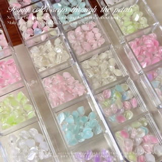 Rou Bao 12 กริดเล็บน้ําแข็งผ่านกลีบดอกไม้ DIY เล็บ Art Charms ตกแต่ง