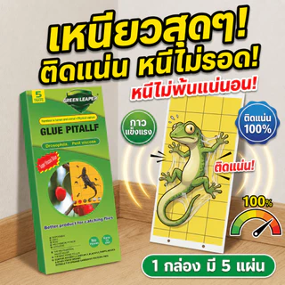 🦎จับได้จริง! เหนียวสุด!🦎UM แผ่นกาวดักจิ้งจก ซื้อ 2 แถม 1 กำจัดจิ้งจก 1 กล่อง 5 แผ่น ไม่ต้องจับเอง ปลอดภัย ไร้สารพิษ ติดแล้วหนีไม่รอด