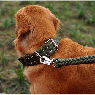 【Paw Buddy】ปลอกคอสัตว์เลี้ยงสวมทนทนทานปรับแบริ่งที่แข็งแกร่งเหมาะสําหรับสุนัขขนาดกลางขนาดใหญ่ไนลอนหนา